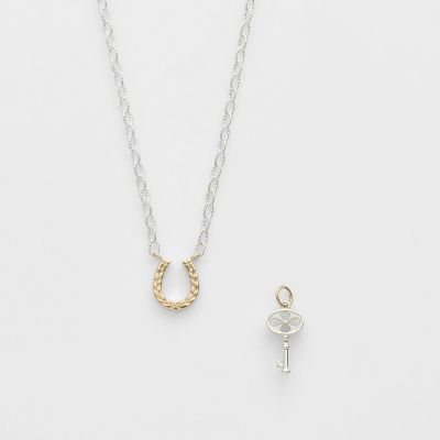 2026 Limited Edition》シルバー／K10ネックレス