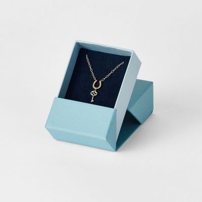 2026 Limited Edition》シルバー／K10ネックレス