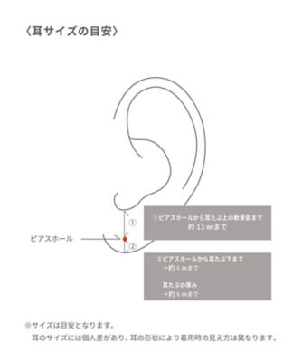 カーブ　フローピアス