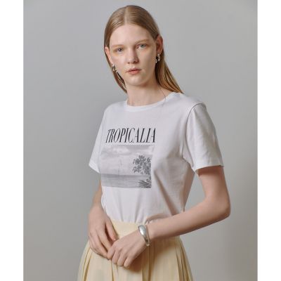 allureville / アルアバイル モノトーンフォトグラフT メタリックレイヤードロゴTシャツ | allureville (Women
