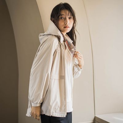 ストレッチタフタフーディブルゾン | MAYSON GREY (Women)/メイソン