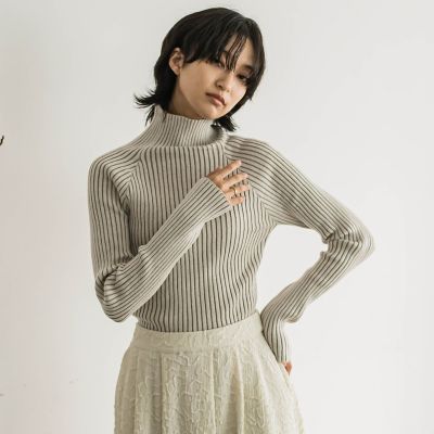 WEB限定】【一部店舗限定】プレーティングハイネックニットプル 