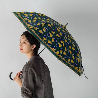 アフリカンアンブレラ