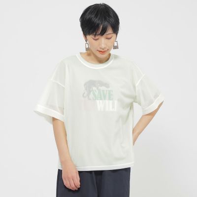 ＜EVEX by KRIZIA (Women)＞【カタログ掲載品】【ウォッシャブル】ソフトシアーカットソー
