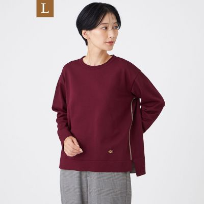 ＜EVEX BY KRIZIA L (Women/大きいサイズ)＞【Ｌ】【１００回洗える】【カタログ掲載】テックスブリッドニットプルオーバー