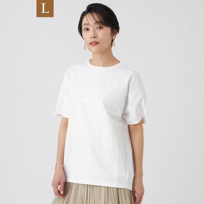 送料無料　クロスVネック　シンプル　シャツ　L L】【カタログ掲載・ウォッシャブル】クリアゼブラプリントカットソー