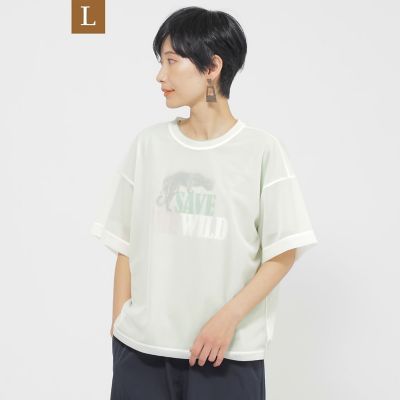 ＜EVEX BY KRIZIA L (Women/大きいサイズ)＞【Ｌ】【カタログ掲載品】【ウォッシャブル】ソフトシアーカットソー