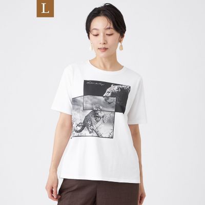 EVEX BY KRIZIA L (Women/大きいサイズ)の大きいサイズ 13号～25号／2L