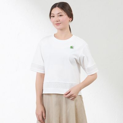＜AMACA (Women)＞コンパクトコットン　レース切替カットソー