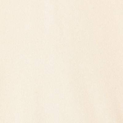 スコットランドカシミヤ　Ｖネックニット