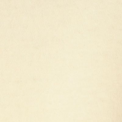 【予約商品１０月上旬以降順次お届け】ウールミルドスムース　バックオープンシャツ