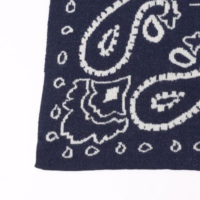 ウールペイズリー ストール | GALERIE VIE (Women)/ギャルリー・ヴィー