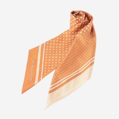 OHESHIO ドット ストライプ マフラー Precious12月号】ドットストライプ剣先スカーフ