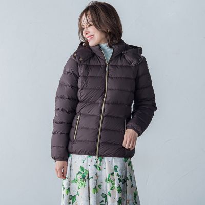 【ＣＡＰＥ　ＨＯＲＮ】ＭＡＴＴ　ＳＴＥＬＬＡ