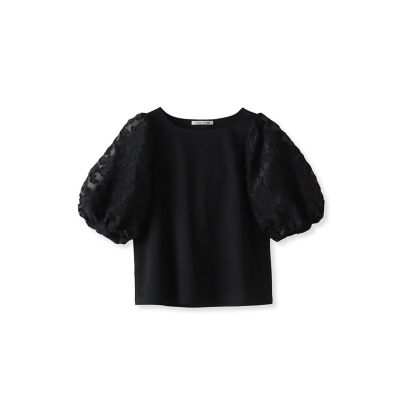 Viaggio Blu (Women)/ビアッジョブルー シアーフラワージャガードプルオーバー≪洗濯機で洗える≫