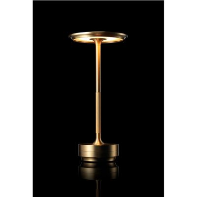 ターン　ブラス　ＴＮ００１　０２ＢＳ（５０１０３６２１）