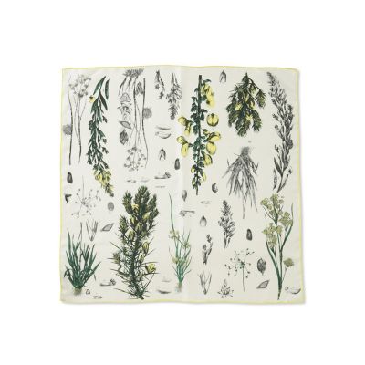 【ＷＥＢ限定】【ｍａｎｉｐｕｒｉ】シルクスカーフ６５