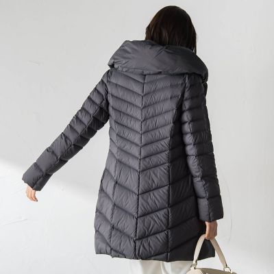 Surface Light ボリュームネックダウンコート