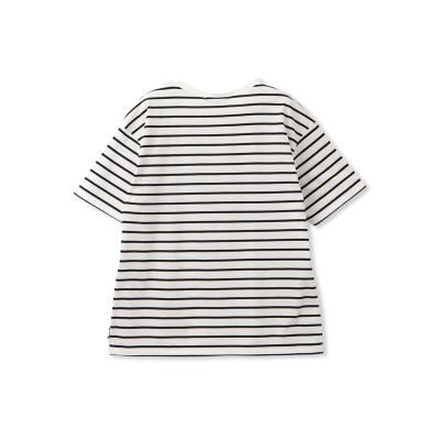 【ＷＥＢ限定】コットンボーダーカットソー≪洗濯機で洗える≫