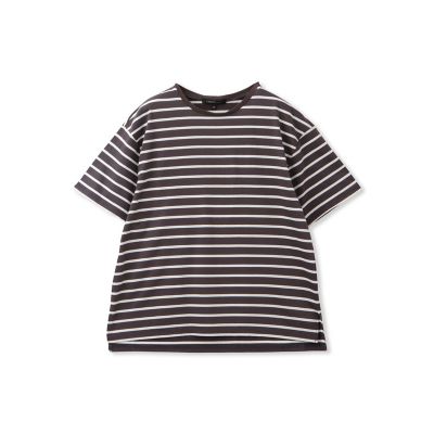 【ＷＥＢ限定】コットンボーダーカットソー≪洗濯機で洗える≫