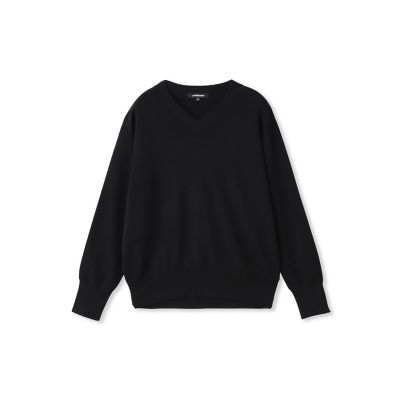 Brisbane Vネックニットプルオーバー≪WEB限定カラーあり