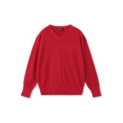 Brisbane Vネックニットプルオーバー≪WEB限定カラーあり