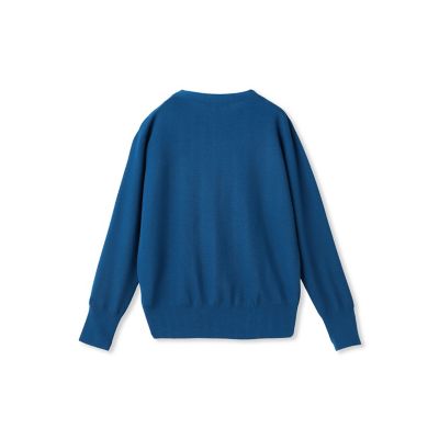 Brisbane Vネックニットプルオーバー≪WEB限定カラーあり