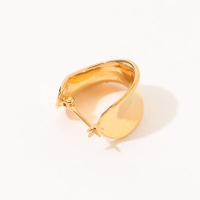 AGMES LAILA ミニワイドフープピアス | maison
