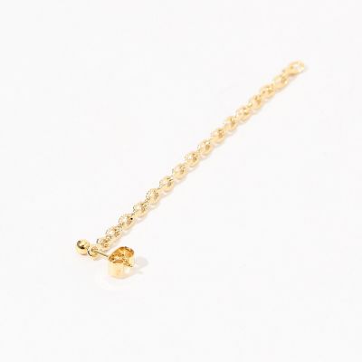 ＰＨＩＬＩＰＰＥ　ＡＵＤＩＢＥＲＴ　ＬＩＮＤＡ　チェーンピアス