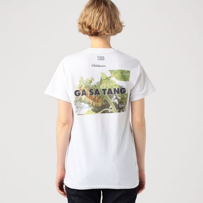 TANG TANG MATTPIRUMANOCEZANNIS T