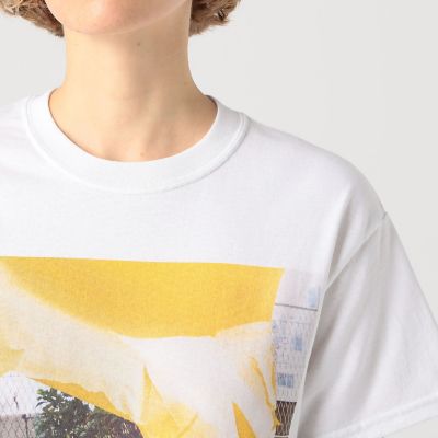 TANG TANG MATTPIRUMANOCEZANNIS T