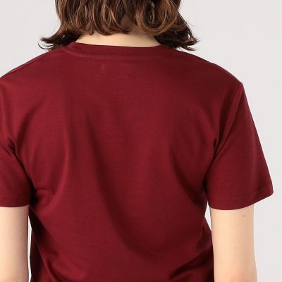 Ｌｅｓ　Ｐｅｔｉｔｓ　Ｂａｓｉｃｓ　Ｔｕｌｉｐｅｓ．　Ｔシャツ