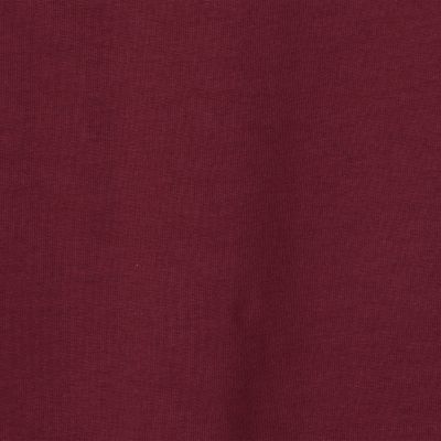 Ｌｅｓ　Ｐｅｔｉｔｓ　Ｂａｓｉｃｓ　Ｔｕｌｉｐｅｓ．　Ｔシャツ
