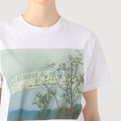 ＴＡＮＧ　ＴＡＮＧ　ＧＡＳＡＴＡＮＧ　Ｔシャツ