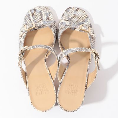 ＭＡＲＹＡＭ　ＮＡＳＳＩＲ　ＺＡＤＥＨ　ＮＩＮＡ　ＳＡＮＤＡＬ