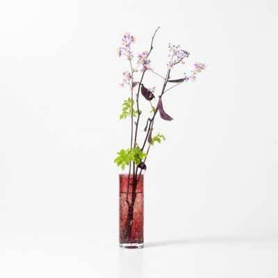 パイプ S ガーネット（50075850） | HENRY DEAN/ヘンリー