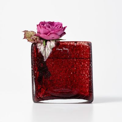 ヘンリーディーン　スクエア　カリビアン Square XS カリビアン – Henry Dean_japan