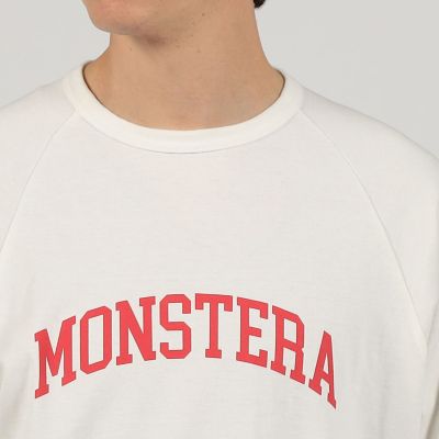 KEIMEN ×TOMORROWLAND HOME MONSTERA