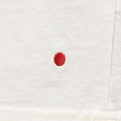 ＯＬＡ　ＣＡＮＶＡＳ　ＳＩＮＧＬＥ　ＦＩＮ　ＴＥＥ　コットンＴシャツ