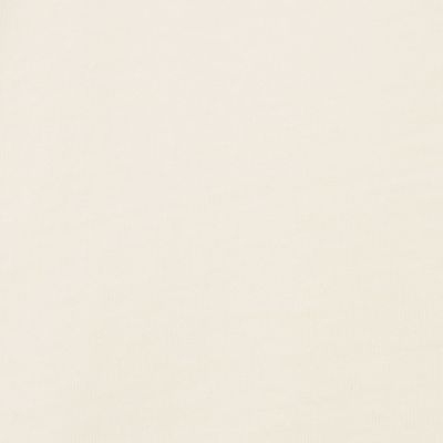 ＯＬＡ　ＣＡＮＶＡＳ　ＳＩＮＧＬＥ　ＦＩＮ　ＴＥＥ　コットンＴシャツ