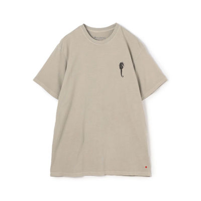 ＯＬＡ ＣＡＮＶＡＳ ＣＡＢＡＬＬＯ ＤＥ ＭＥＲ ＴＥＥ コットンＴ