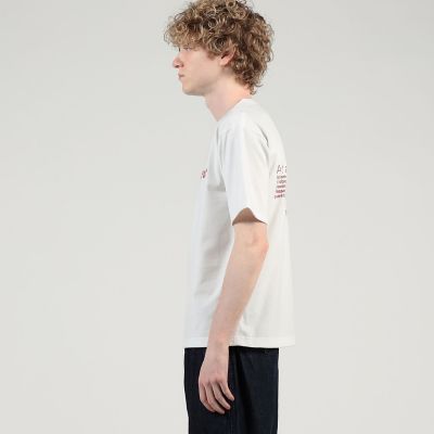 【別注】ＫＮＩＴＴＩＮＧ　ＦＡＣＴＯＲＹ　コットンＴシャツ