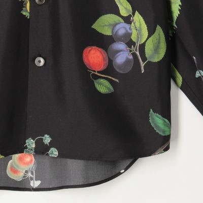 ＣＡＢａＮ　シルクツイル　ＨＡＲＶＥＳＴ　レギュラーカラーシャツ