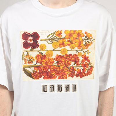 ＣＡＢａＮ スビンコットン パレルモプリントＴシャツ | ファッション