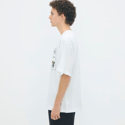 CABaN スビンコットン MIX PATTERNED