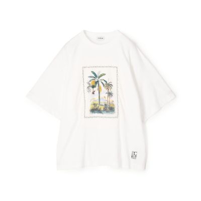 週末限定価格 CABaN パールホワイトカットソー 週末限定価格 CABaN