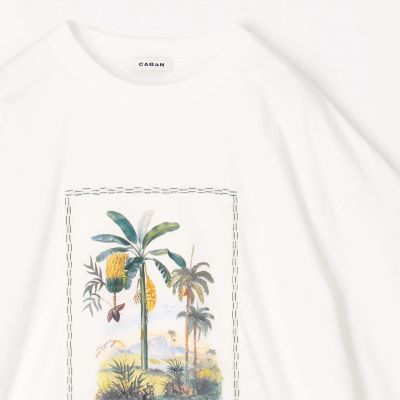 スビンコットン TROPICAL HORIZON Tシャツ | CABaN