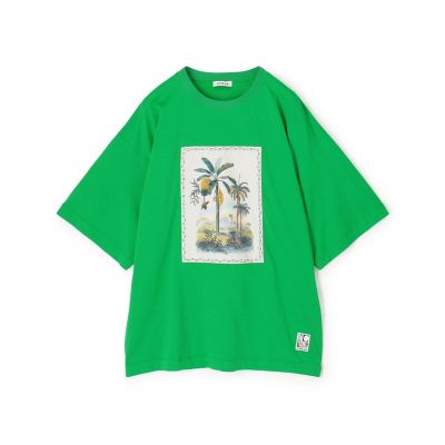 スビンコットン TROPICAL HORIZON Tシャツ | CABaN
