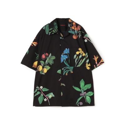 ＣＡＢａＮ　コットン　Ｇｒｅｅｎ　Ｓｈｏｗｅｒプリント　ハーフスリーブシャツ