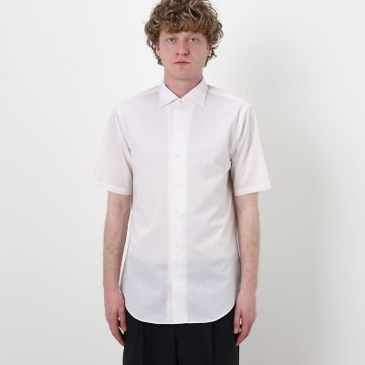コットンウール ショートポイントワイドスプレッド ハーフスリーブ